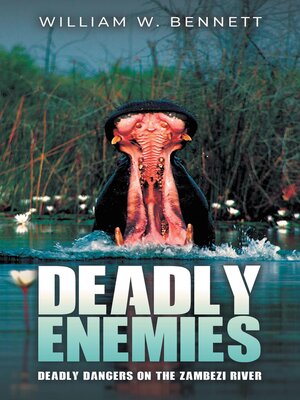 cover image of Deadly Storms